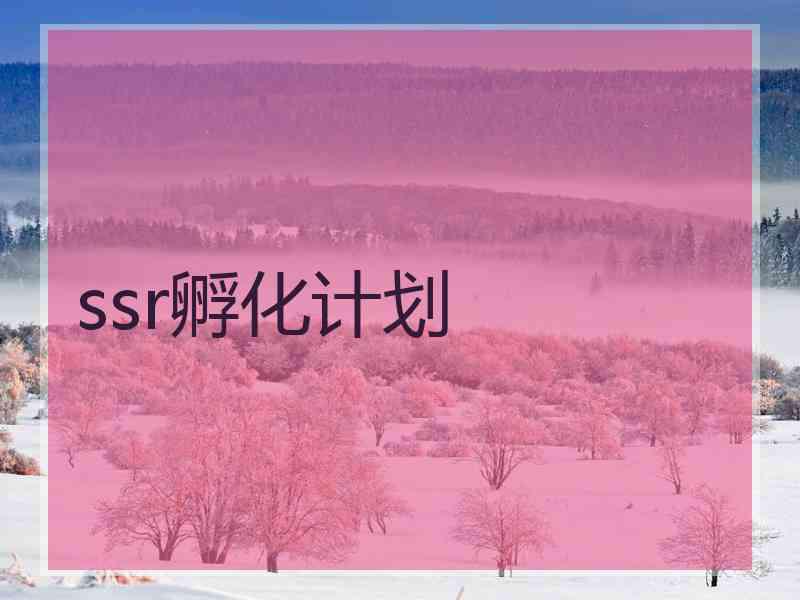 ssr孵化计划