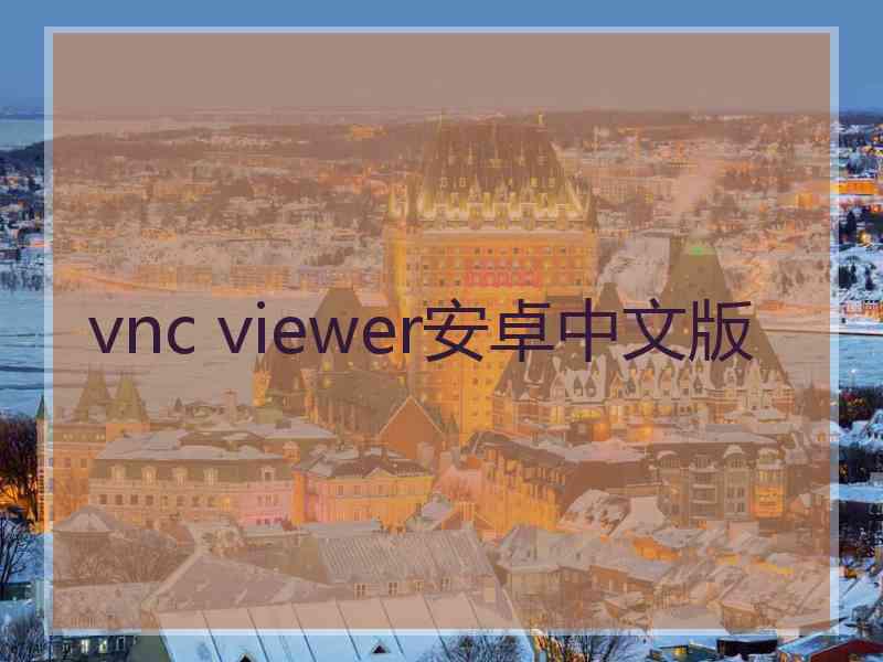 vnc viewer安卓中文版