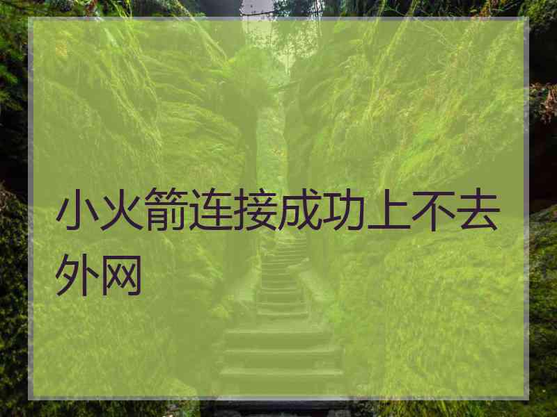 小火箭连接成功上不去外网