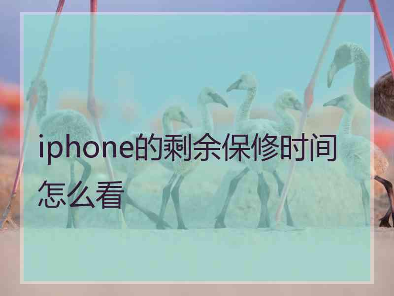 iphone的剩余保修时间怎么看