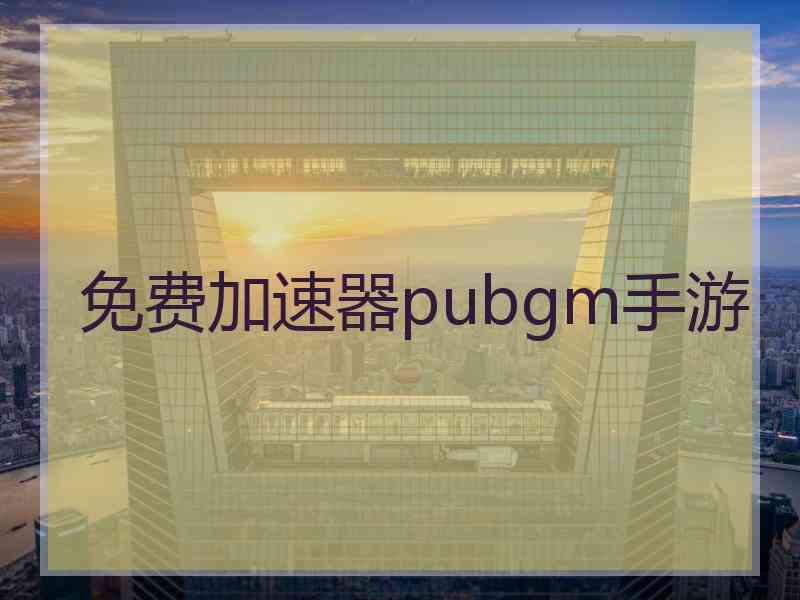 免费加速器pubgm手游