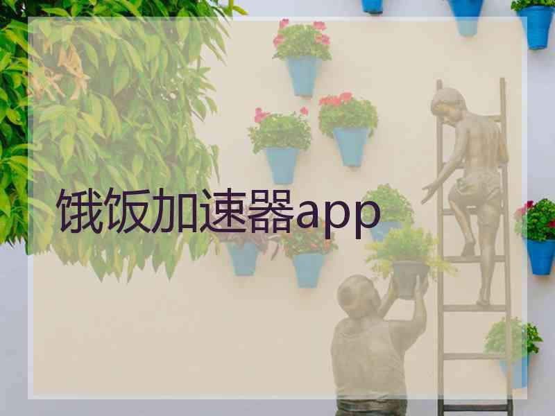 饿饭加速器app