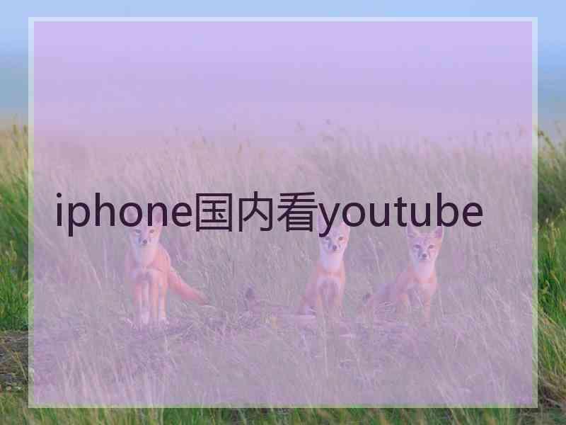 iphone国内看youtube