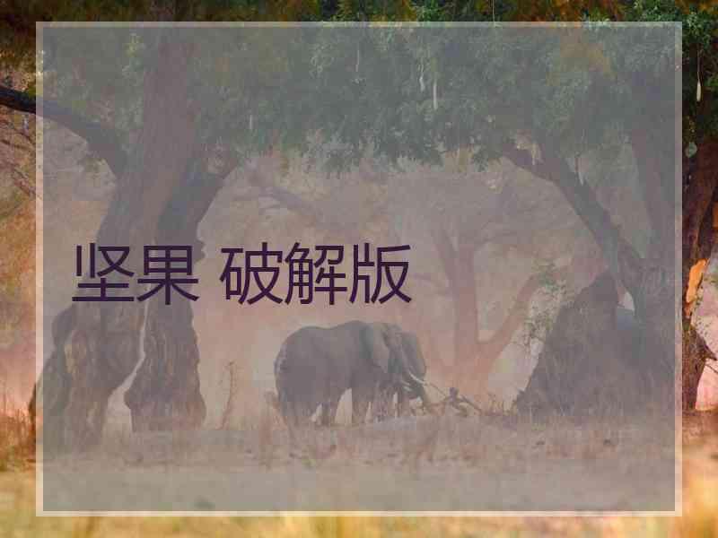 坚果 破解版