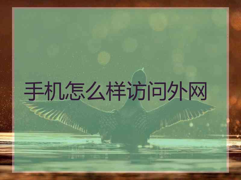 手机怎么样访问外网