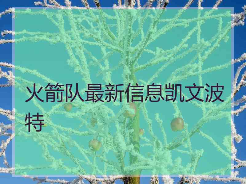 火箭队最新信息凯文波特