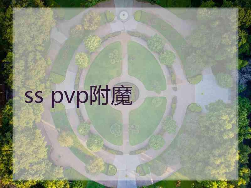 ss pvp附魔
