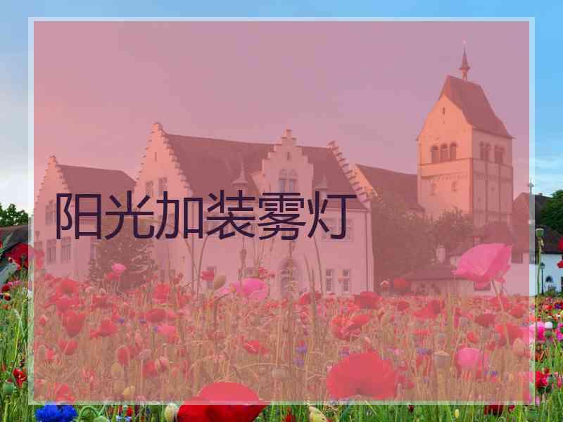 阳光加装雾灯