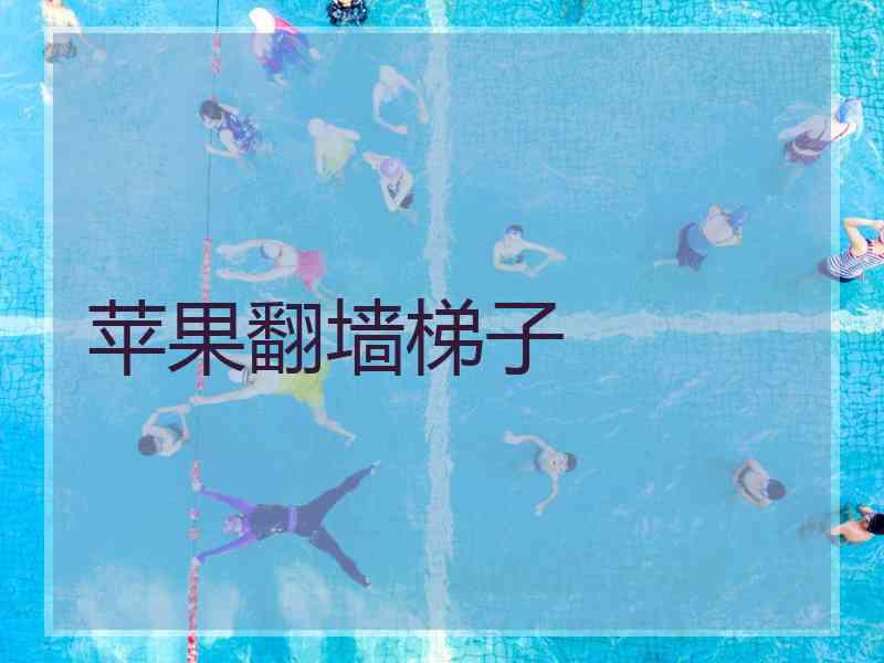 苹果翻墙梯子