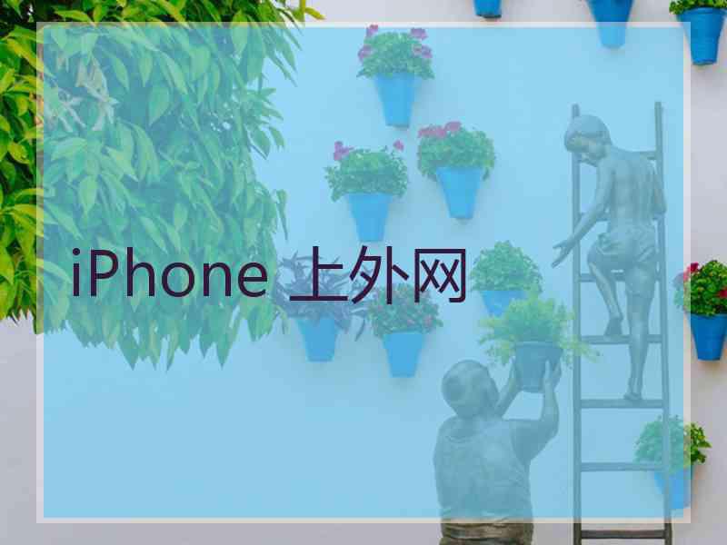 iPhone 上外网