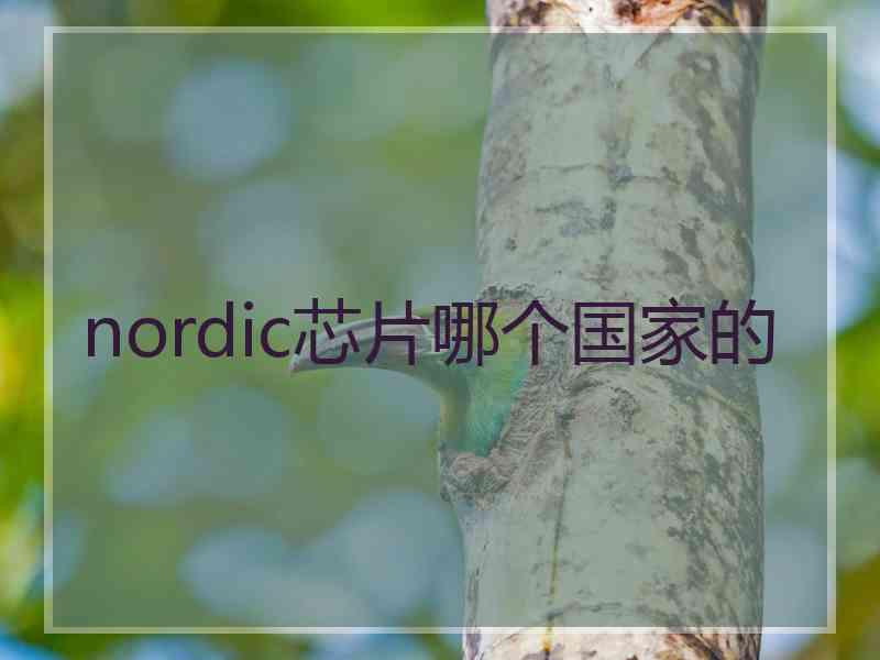 nordic芯片哪个国家的