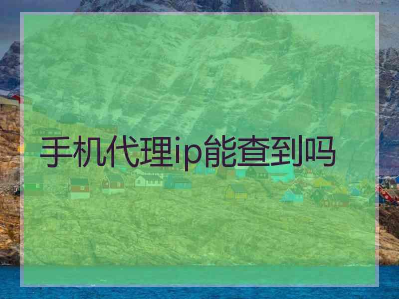 手机代理ip能查到吗
