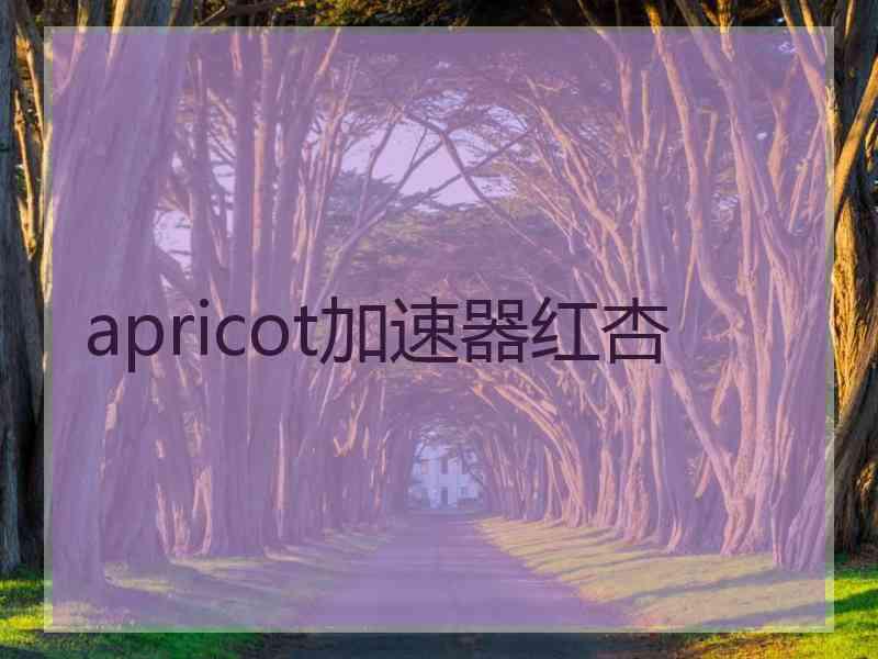 apricot加速器红杏