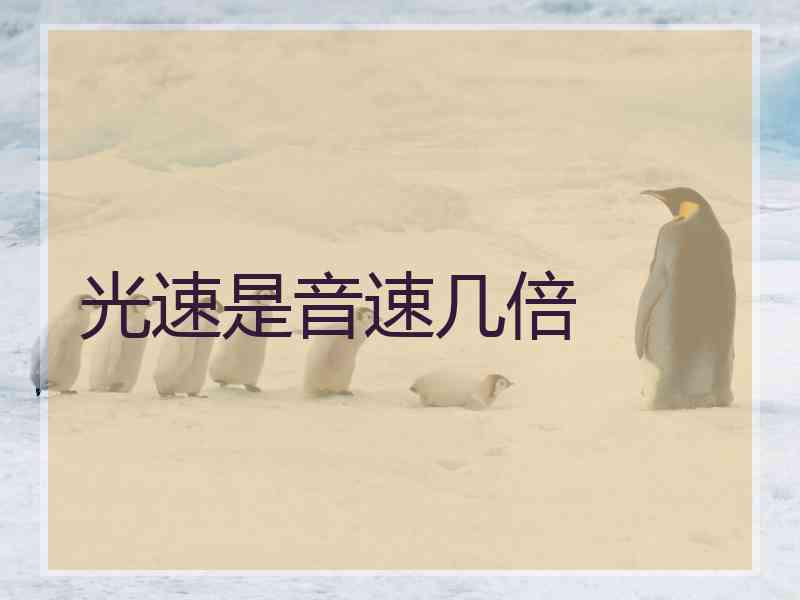 光速是音速几倍
