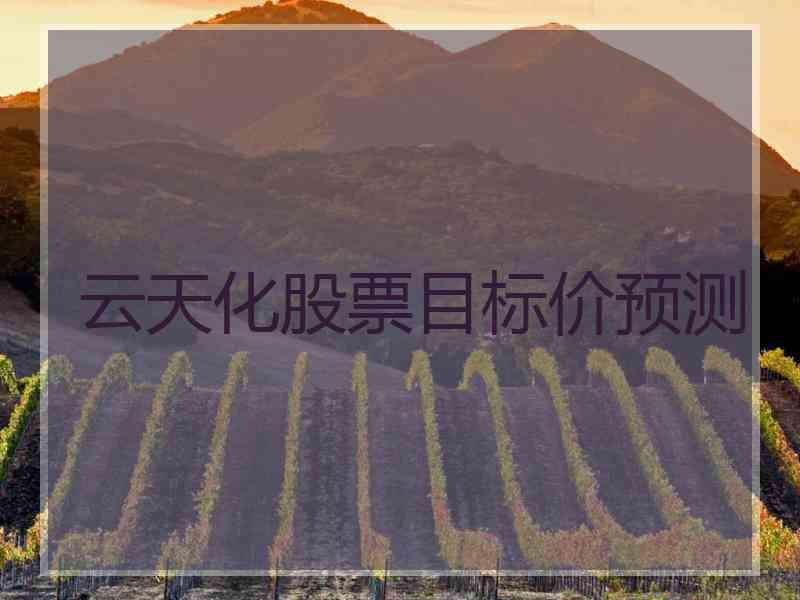 云天化股票目标价预测