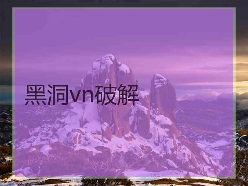 黑洞vn破解