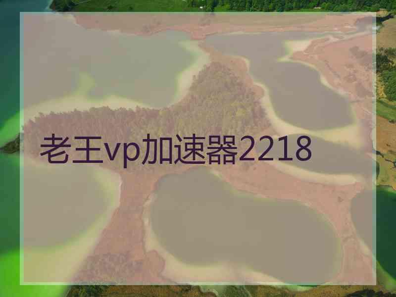 老王vp加速器2218