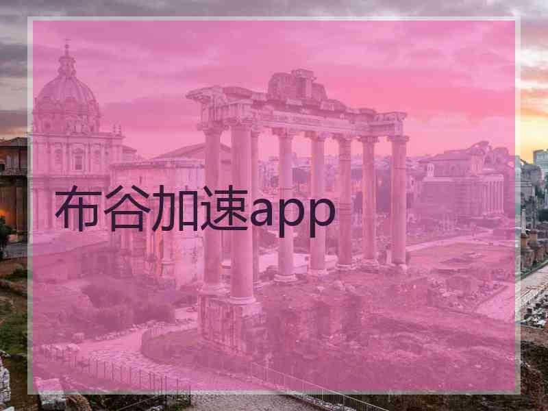 布谷加速app