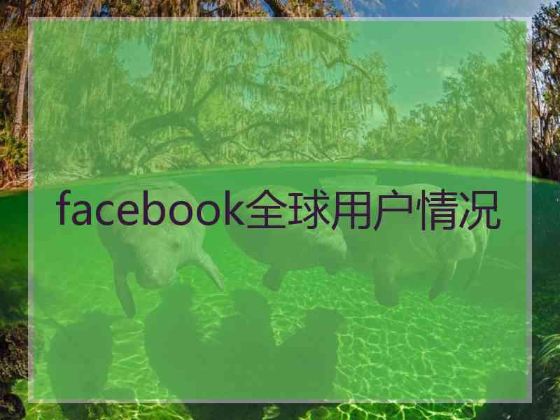 facebook全球用户情况