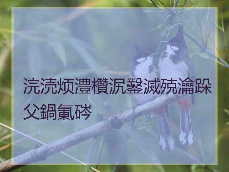 浣涜烦澧欑泦鑿滅殑瀹跺父鍋氭硶