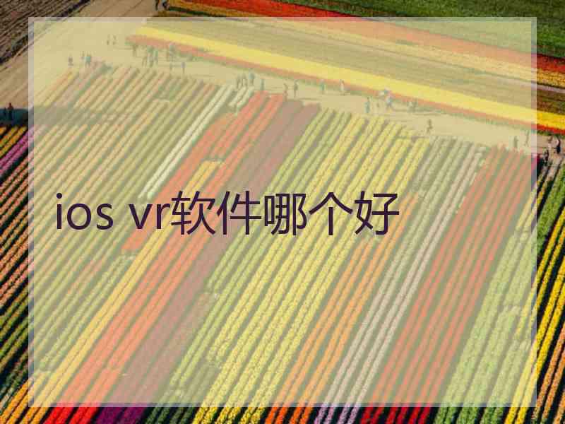 ios vr软件哪个好