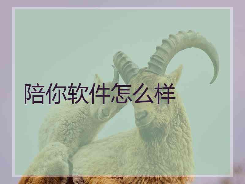 陪你软件怎么样