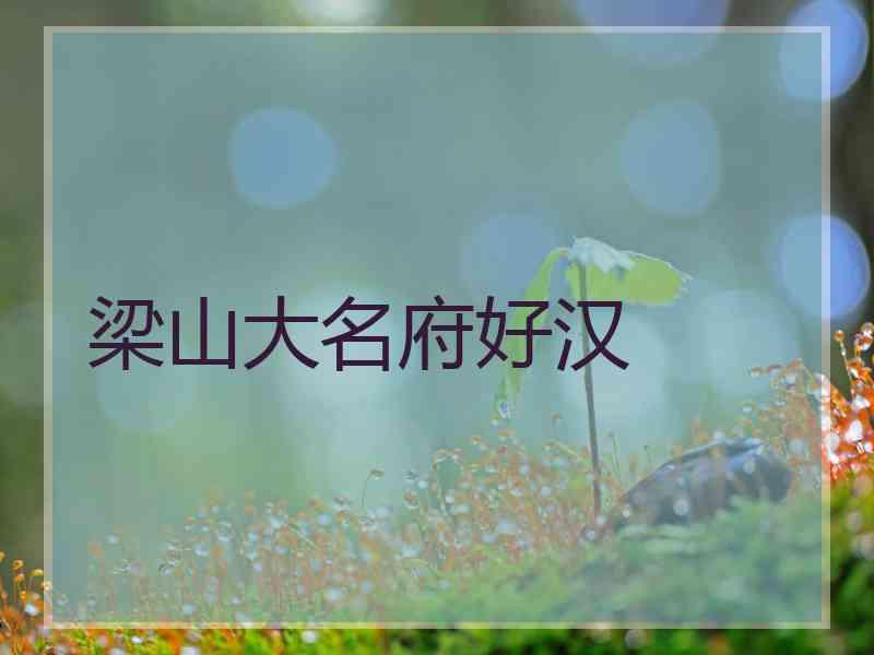 梁山大名府好汉