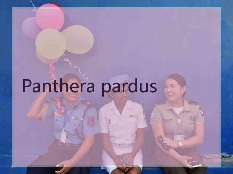 Panthera pardus