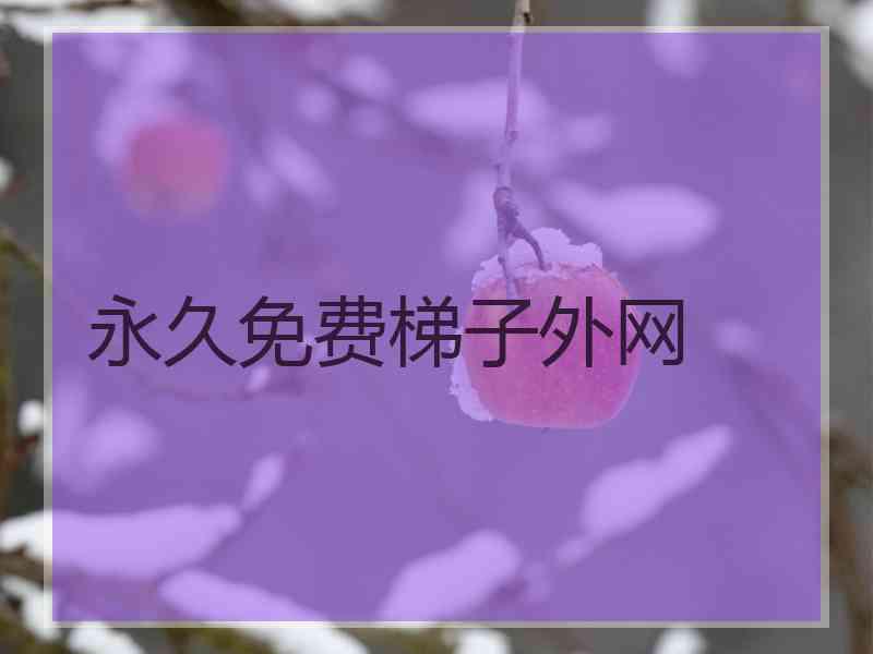 永久免费梯子外网