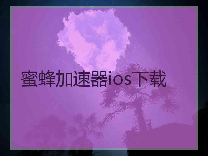蜜蜂加速器ios下载
