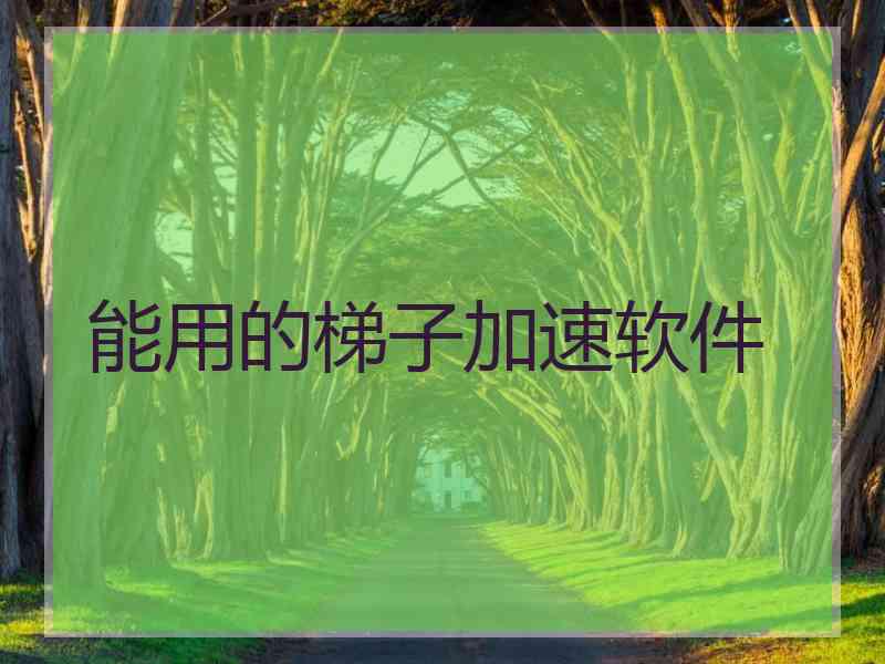 能用的梯子加速软件