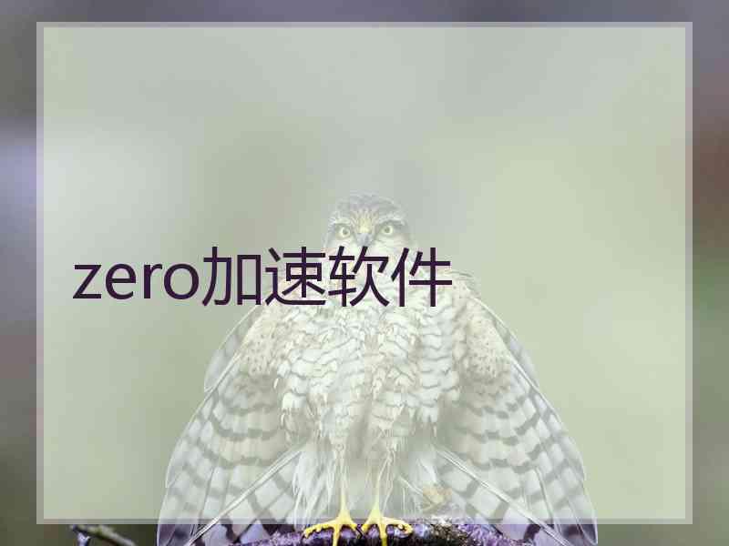 zero加速软件