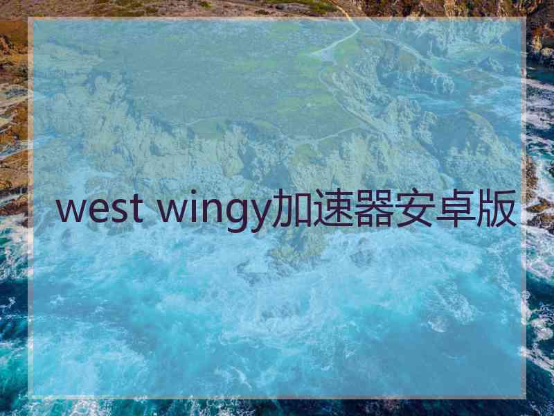 west wingy加速器安卓版