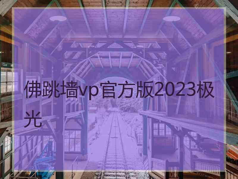 佛跳墙vp官方版2023极光