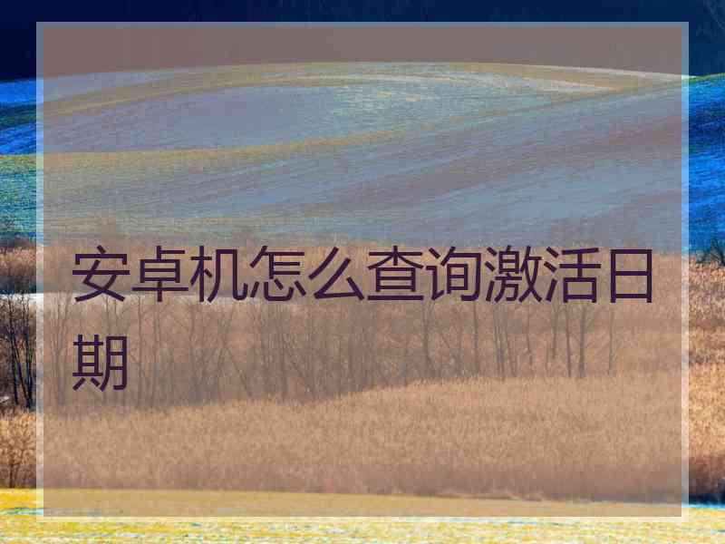 安卓机怎么查询激活日期