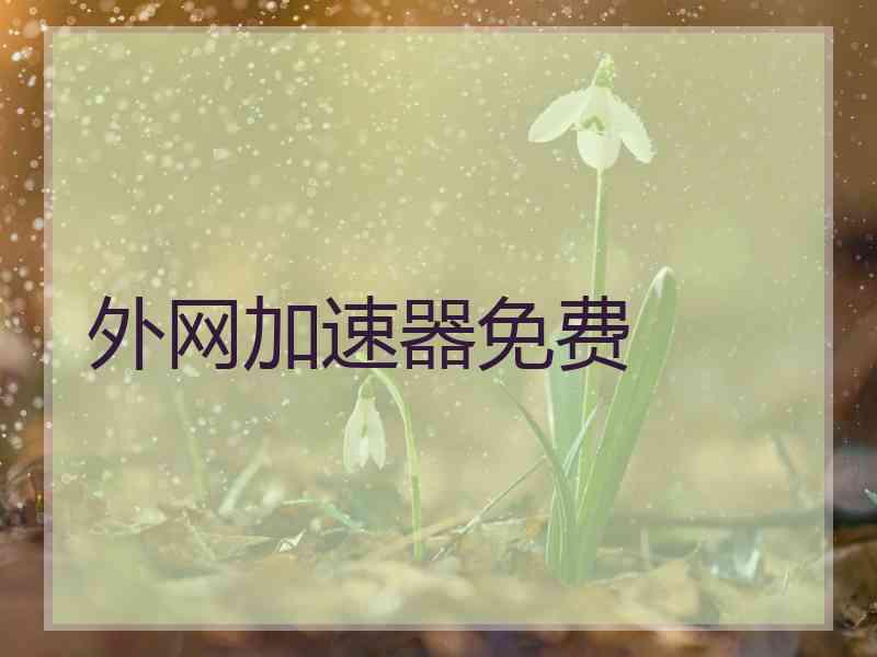 外网加速器免费