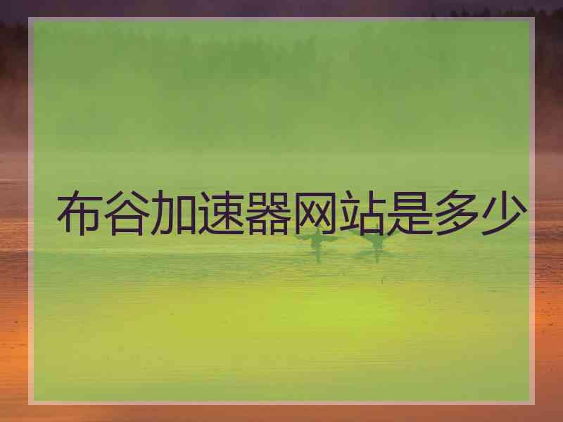 布谷加速器网站是多少