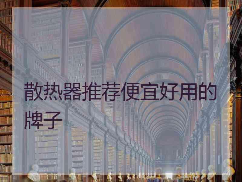 散热器推荐便宜好用的牌子