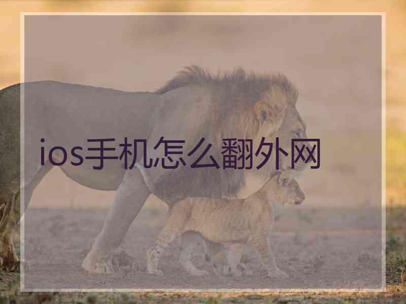 ios手机怎么翻外网