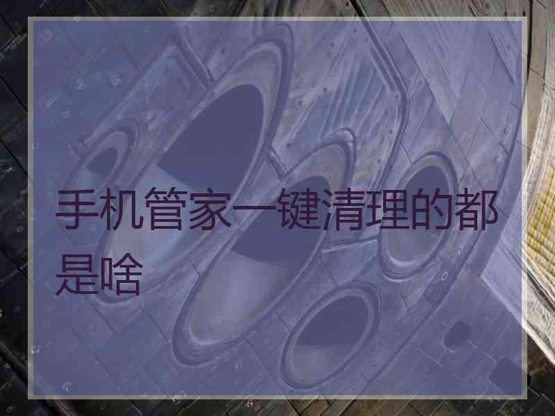 手机管家一键清理的都是啥