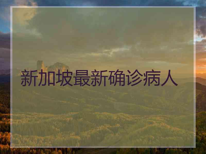 新加坡最新确诊病人