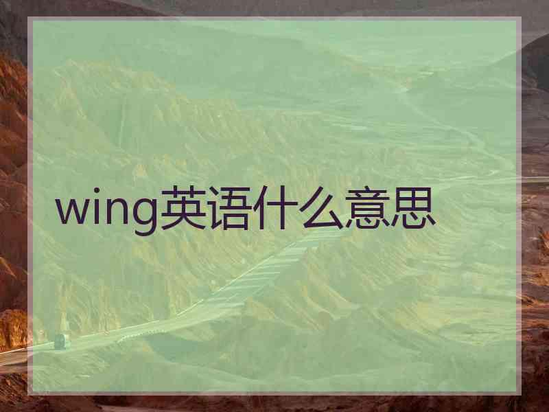 wing英语什么意思
