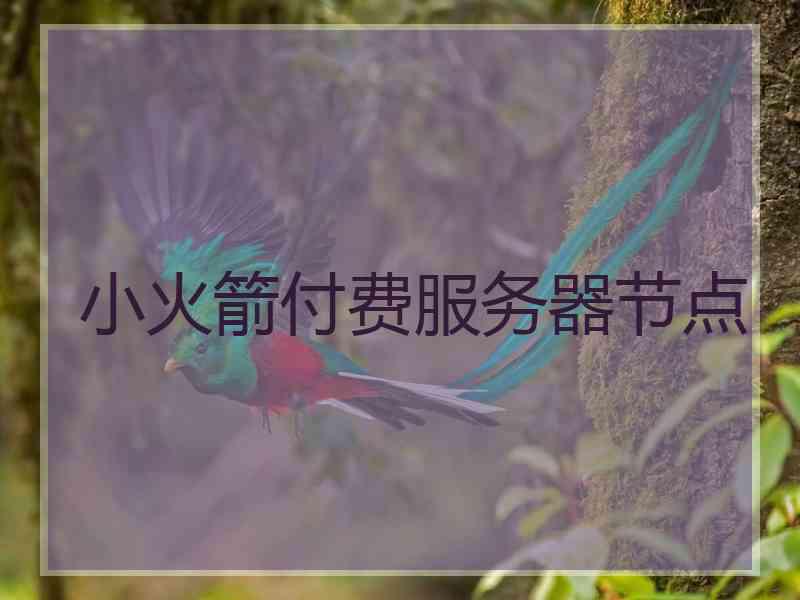 小火箭付费服务器节点