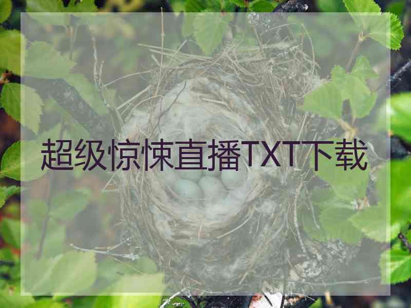 超级惊悚直播TXT下载