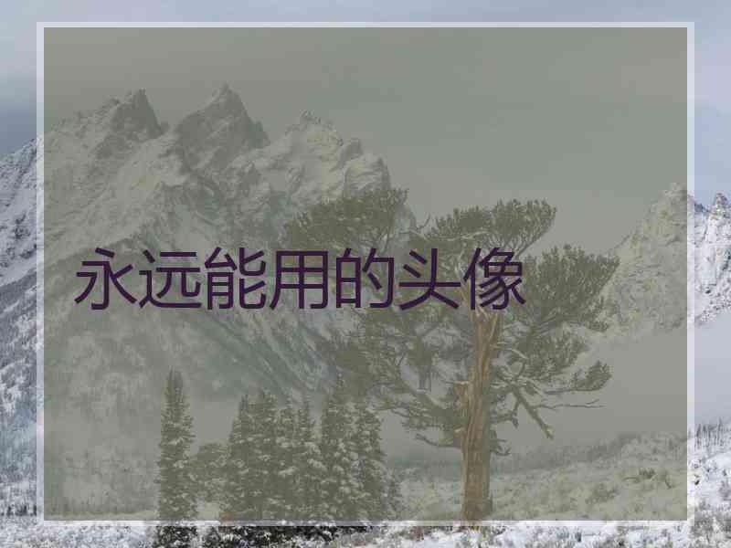 永远能用的头像