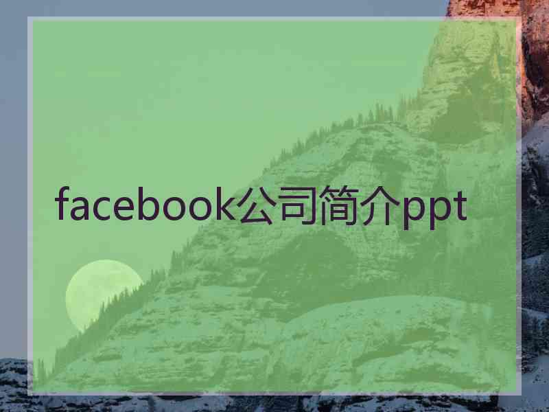 facebook公司简介ppt