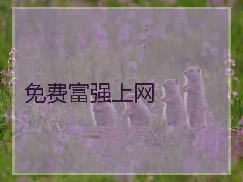 免费富强上网