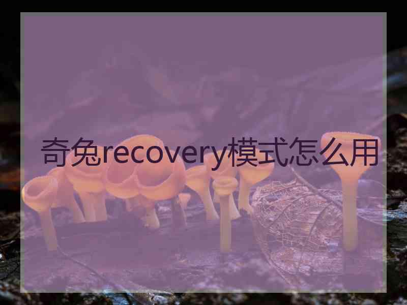 奇兔recovery模式怎么用