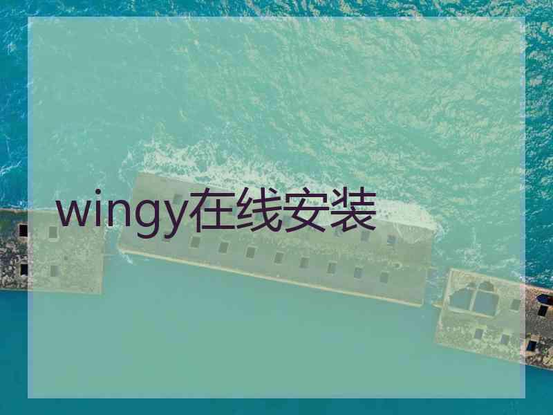 wingy在线安装