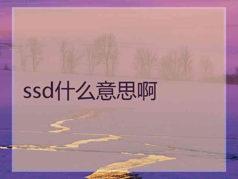 ssd什么意思啊